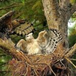 _ADR2514 sx2020 e jpeg final copy